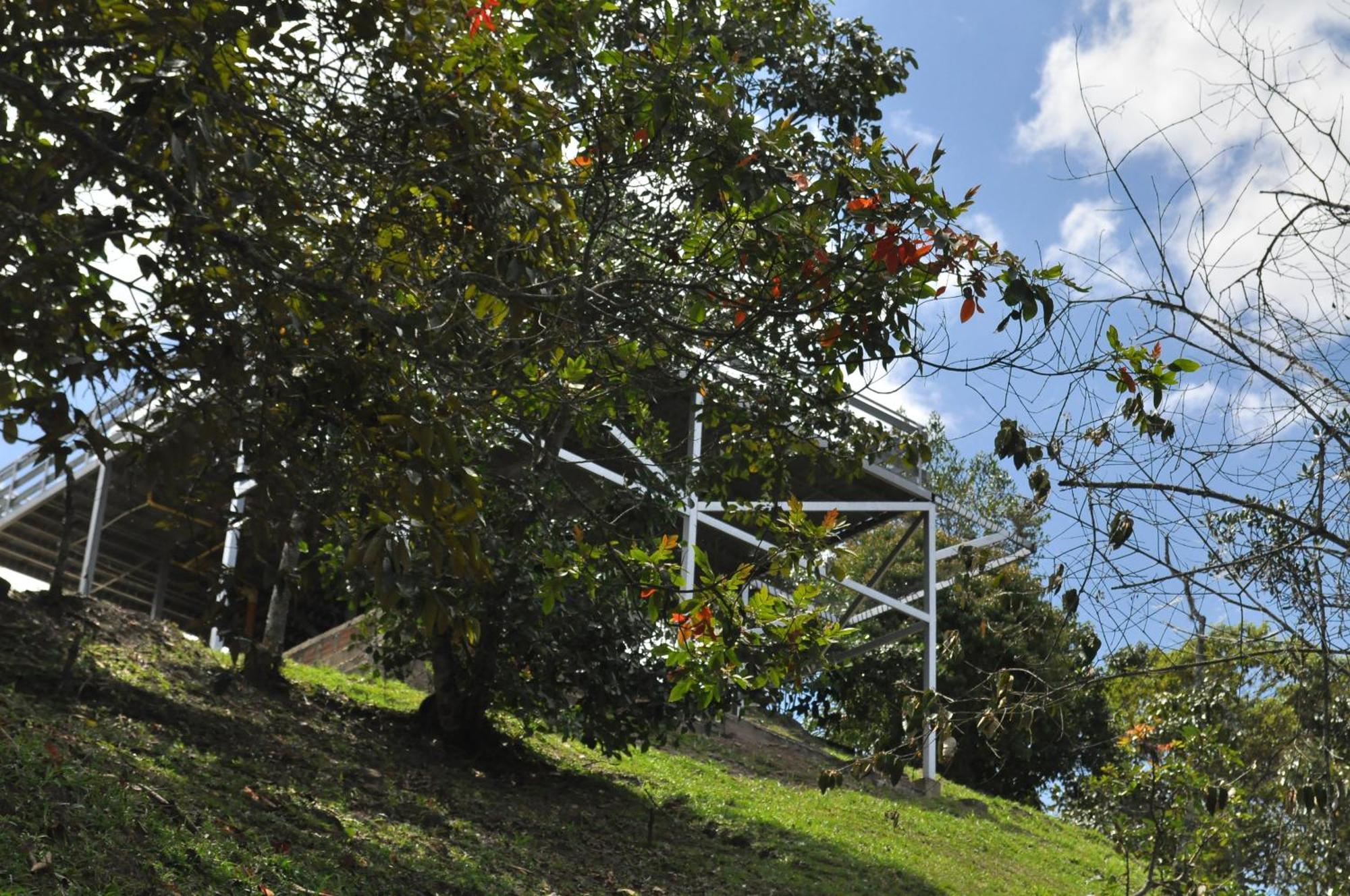 Natural Glamping La Vega Exterior foto